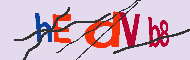 キャプチャ(CAPTCHA)認証コード