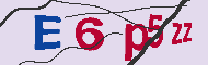 キャプチャ(CAPTCHA)認証コード